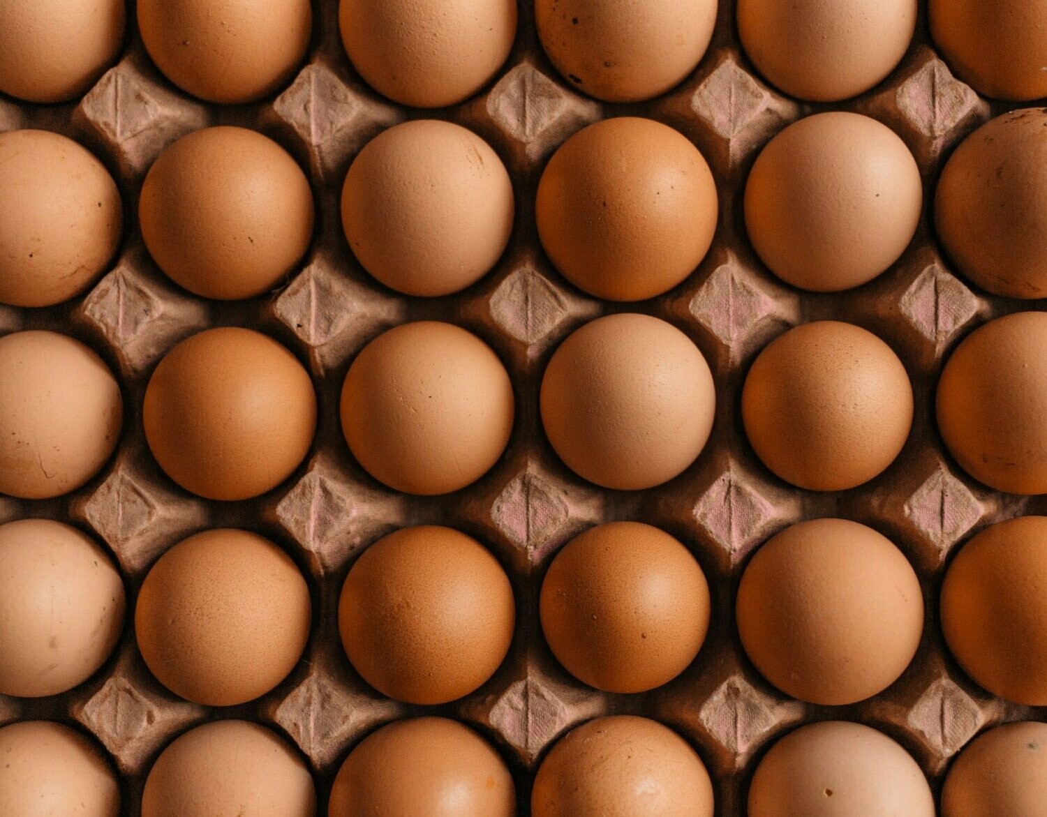 Large Brown Eggs
